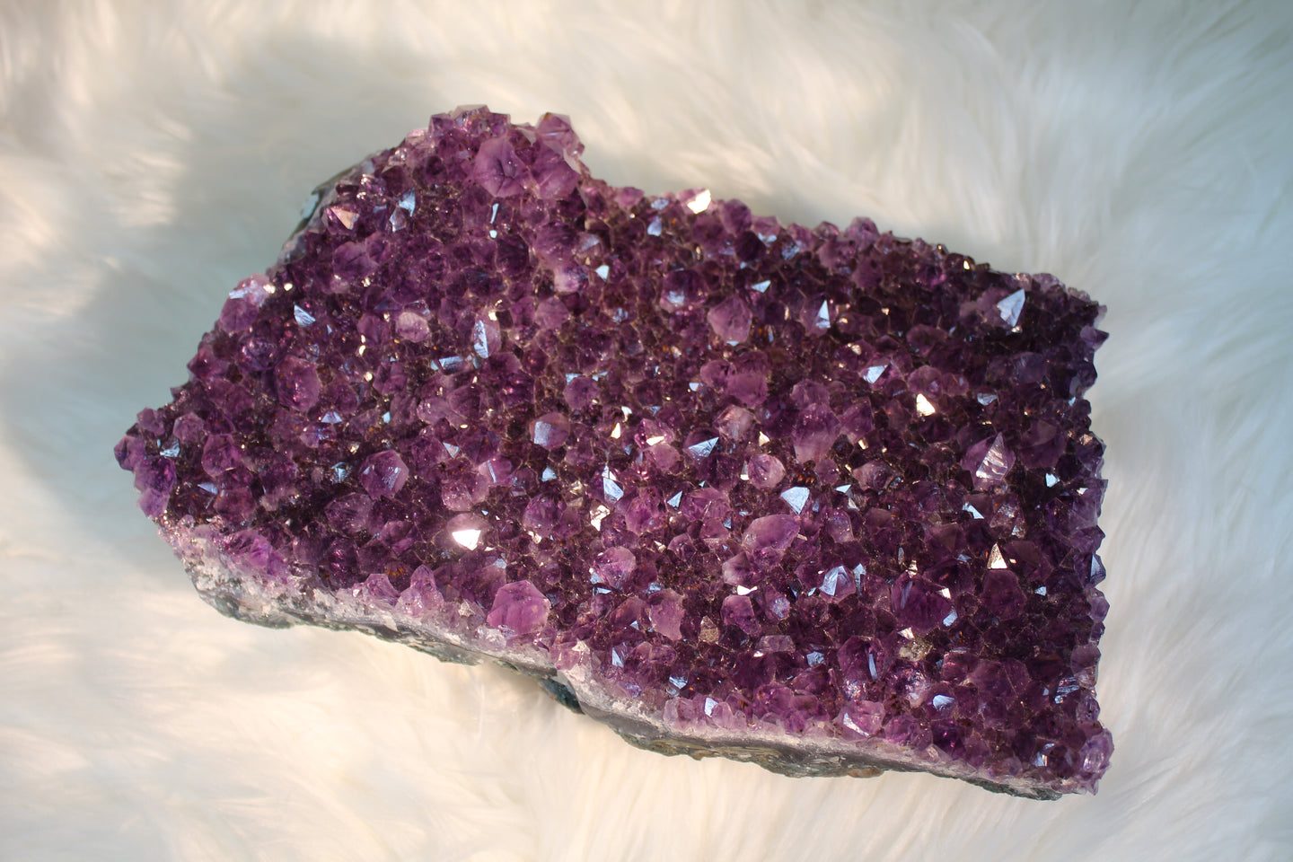 X-Large Amethyst Cluster
